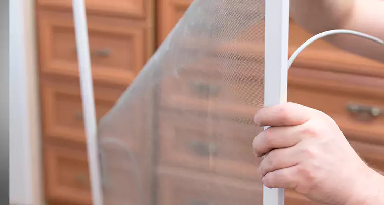 Privacy Mesh Screen Door Installation in Coral Springs, FL